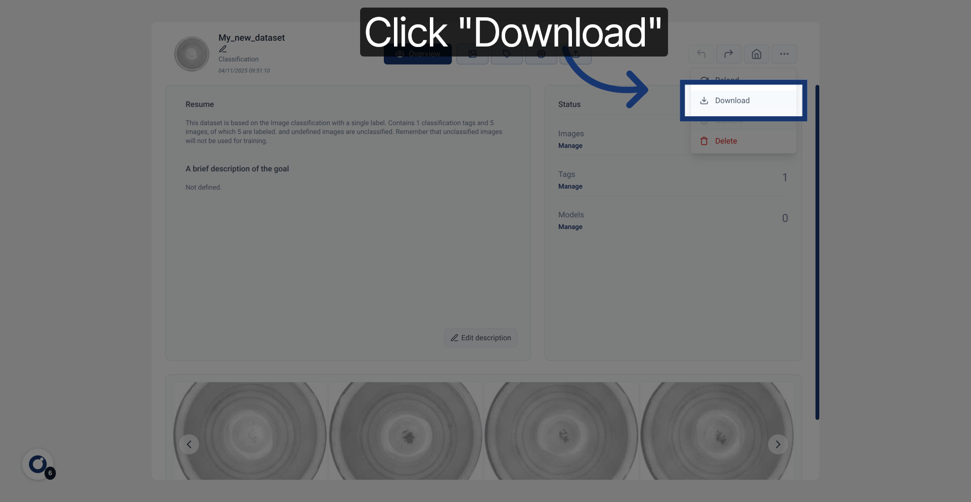 Initiate Dataset Download