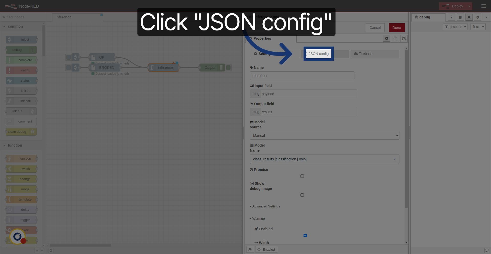 View JSON Configuration Details