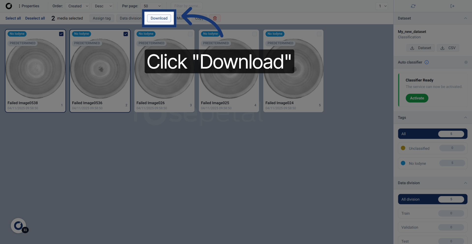 Start Final Download