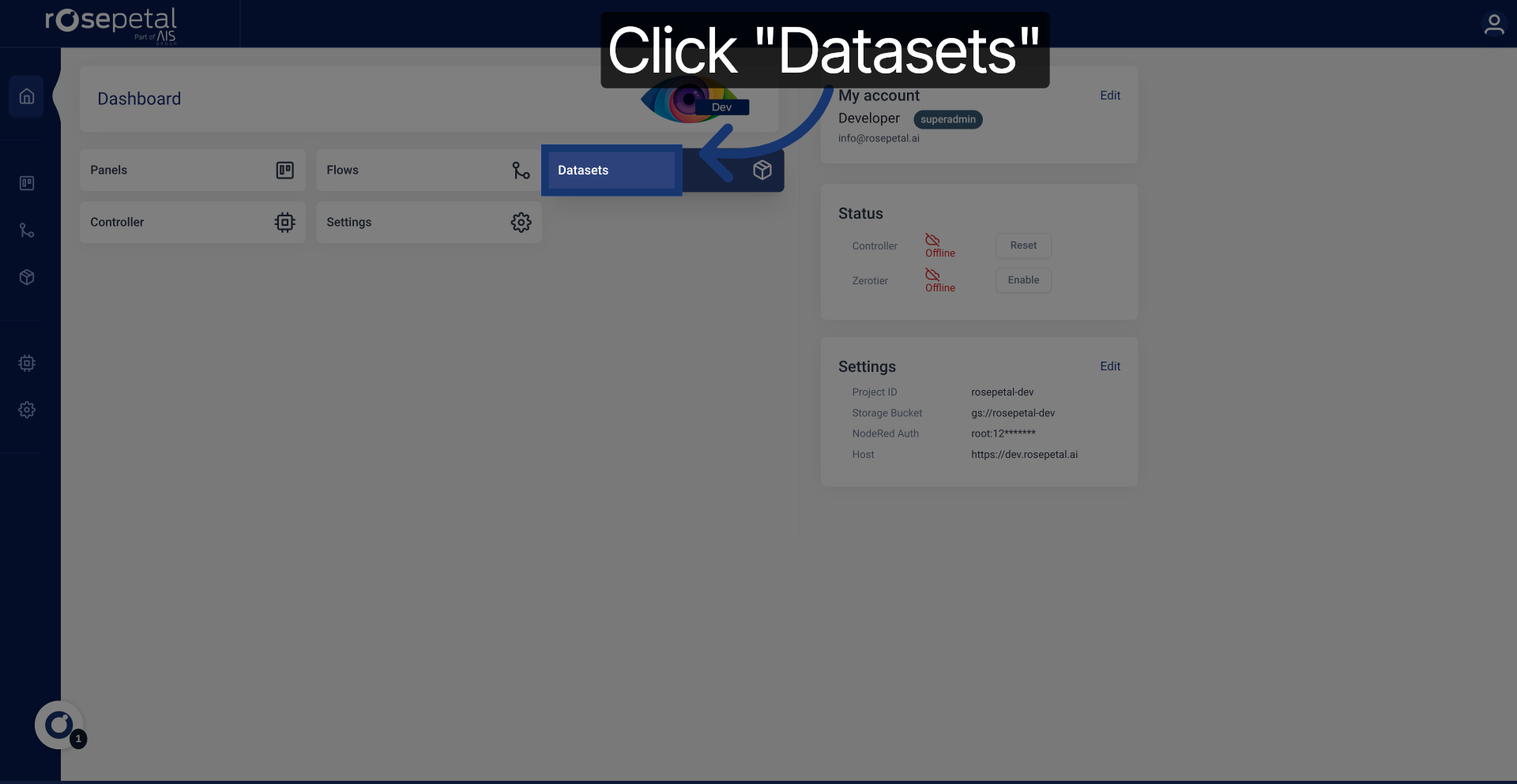 Access Datasets Section