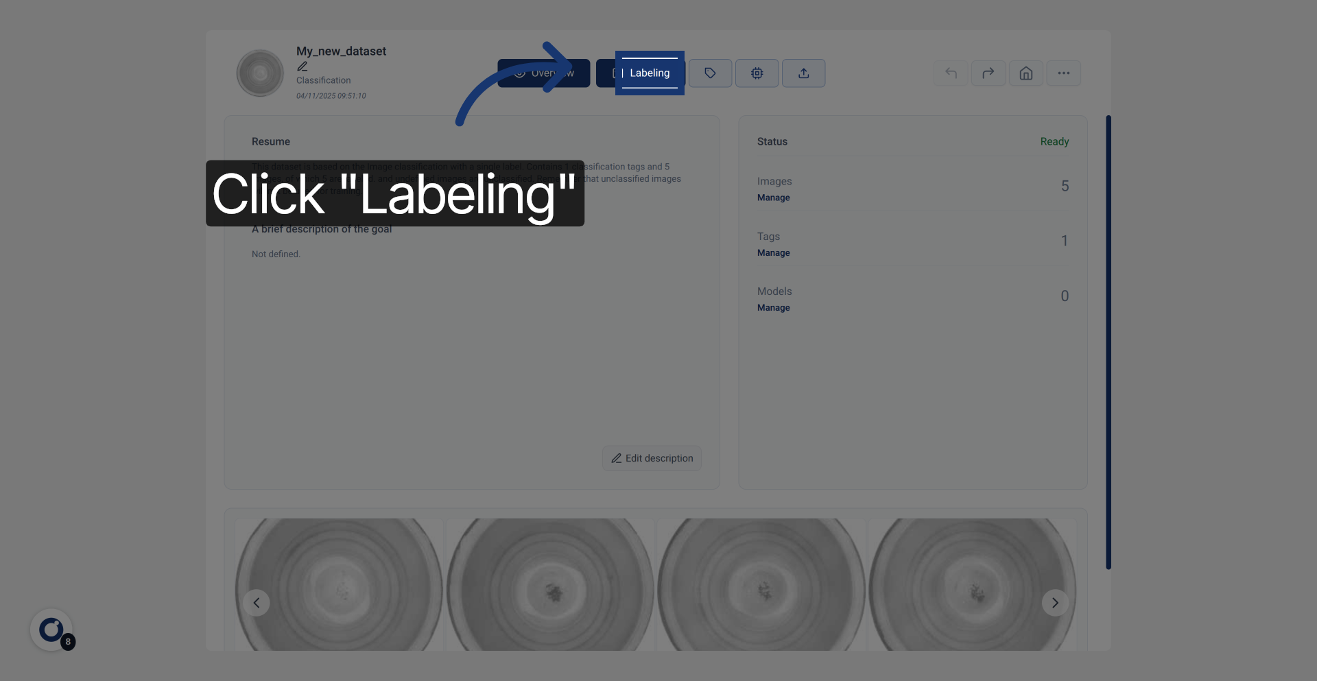 Navigate to Labeling Section